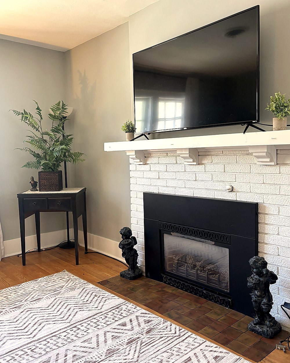 Living room with TV, fireplace and plants